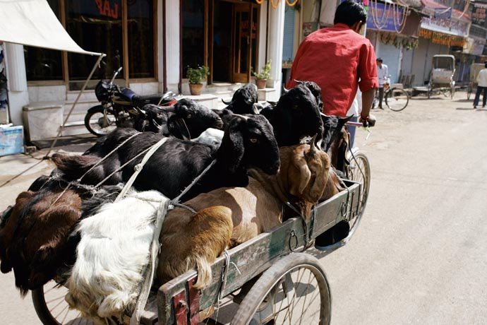 bharatbenz horn please bitte hupen bildergalerie